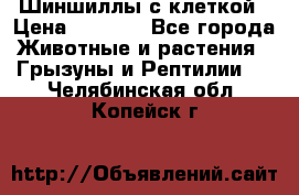 Шиншиллы с клеткой › Цена ­ 8 000 - Все города Животные и растения » Грызуны и Рептилии   . Челябинская обл.,Копейск г.